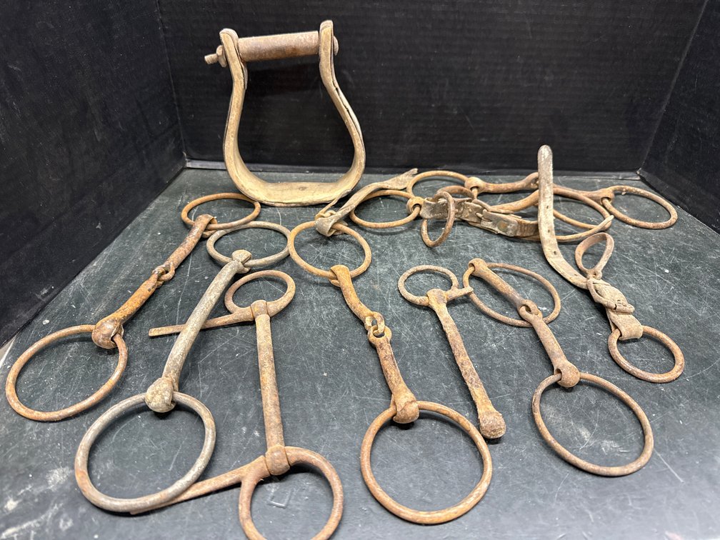 Horse Bridle Bits and Wooden Stirup