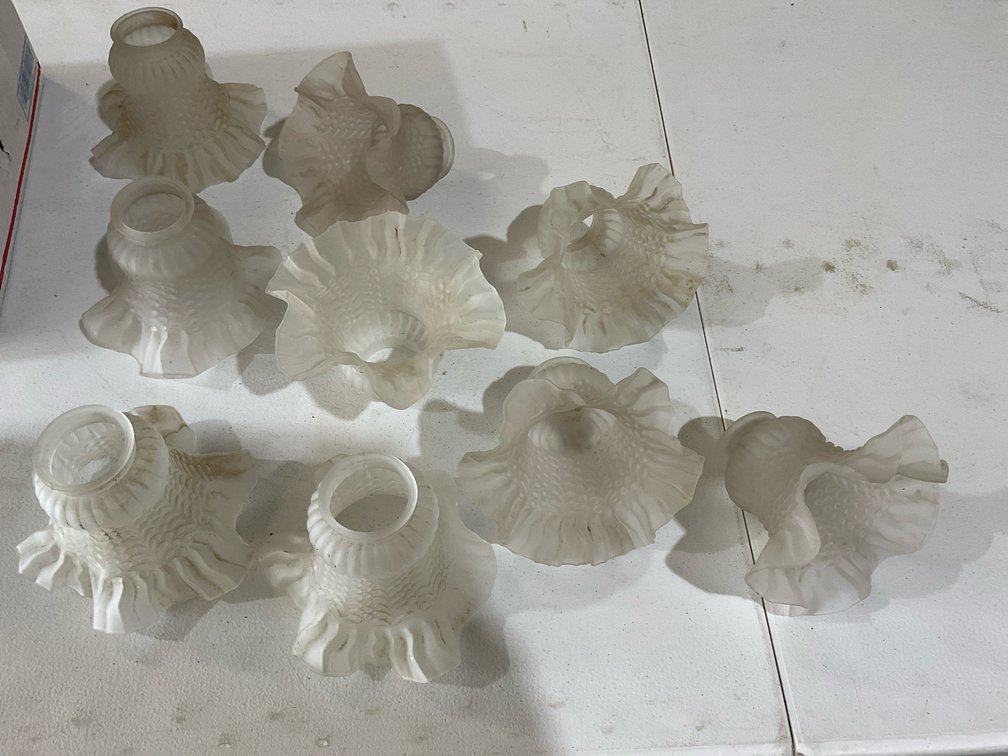 Frosted Light Shades (9)
