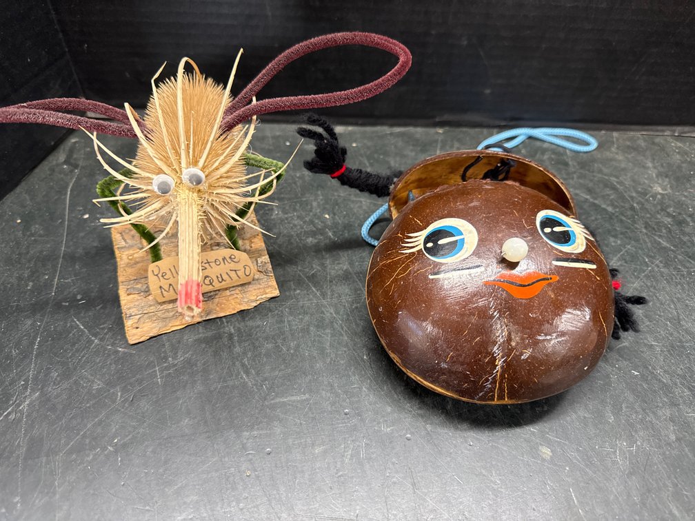 Hand Painted Coconut Shell Purse, and Yellowstone Mosquito
