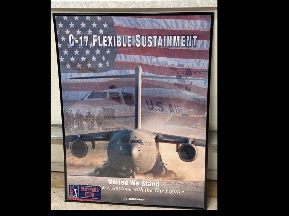 Boeing C-17 Flexible Sustainment Picture