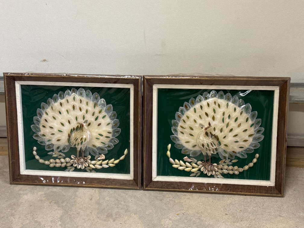 Seashell Peacock Wall Art W/ Intricate Handmade Shell Mosaic Art