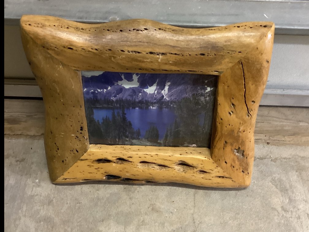 Mountain Lake Picture - Framed in Rare & Unusual Cactus Wood