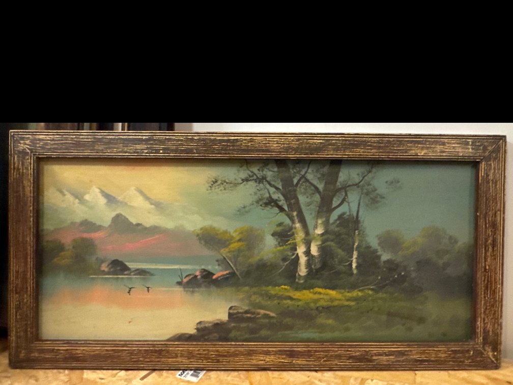 Lake Side View Picture