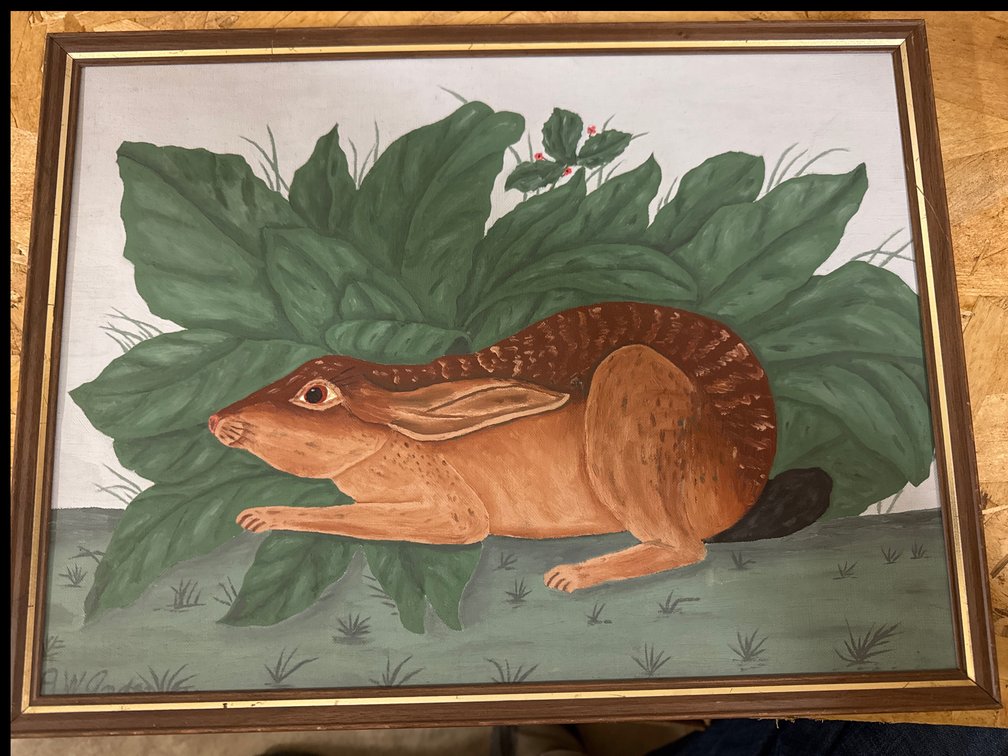 Painted Picture Of A  Rabbit Hiding