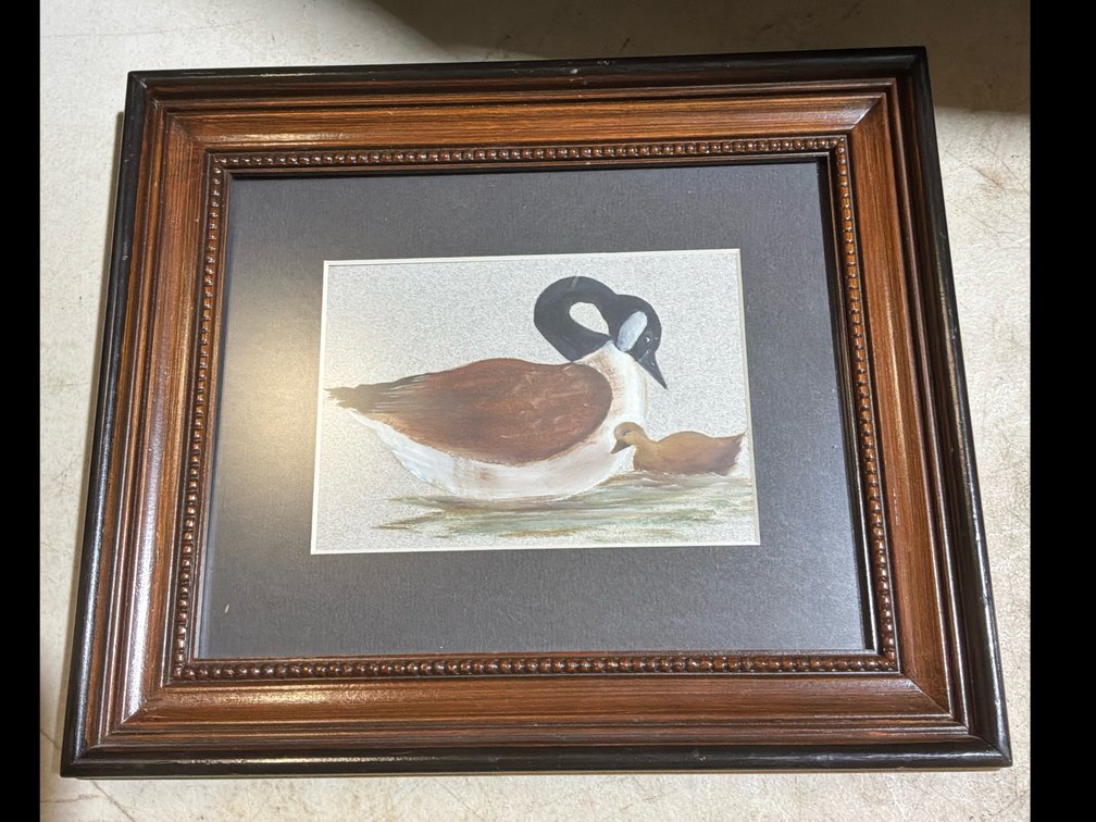 Framed Canada Goose & Small Gosling