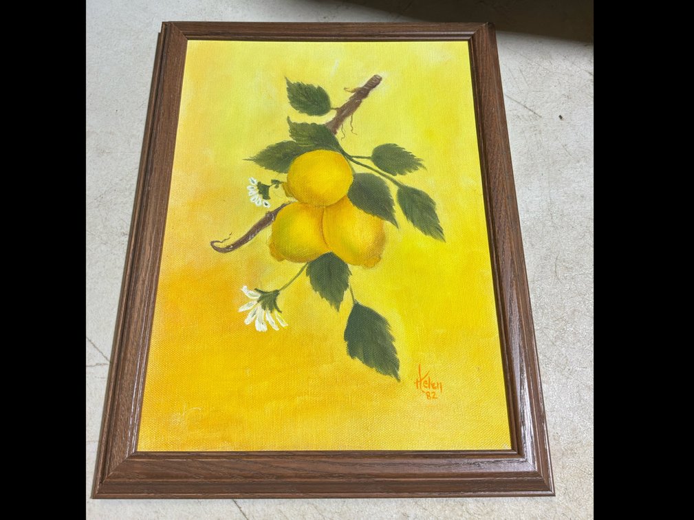 Framed Oil on Canvas “Lemon Branch”
