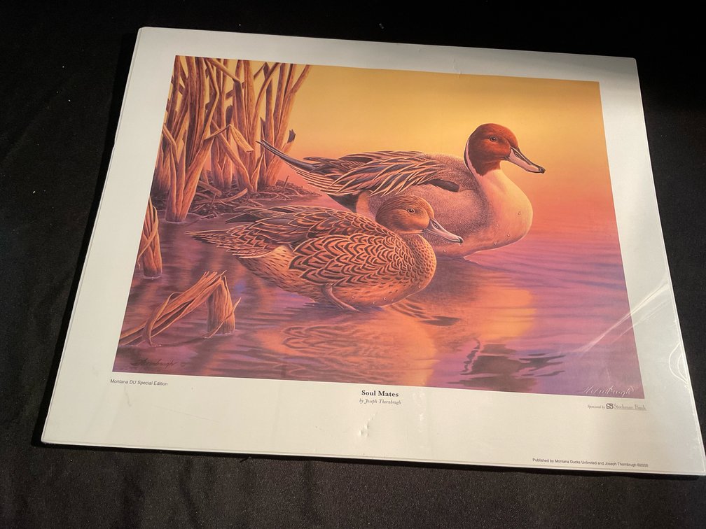 20x16 2000 Soul Mates Ducks Unlimited Print