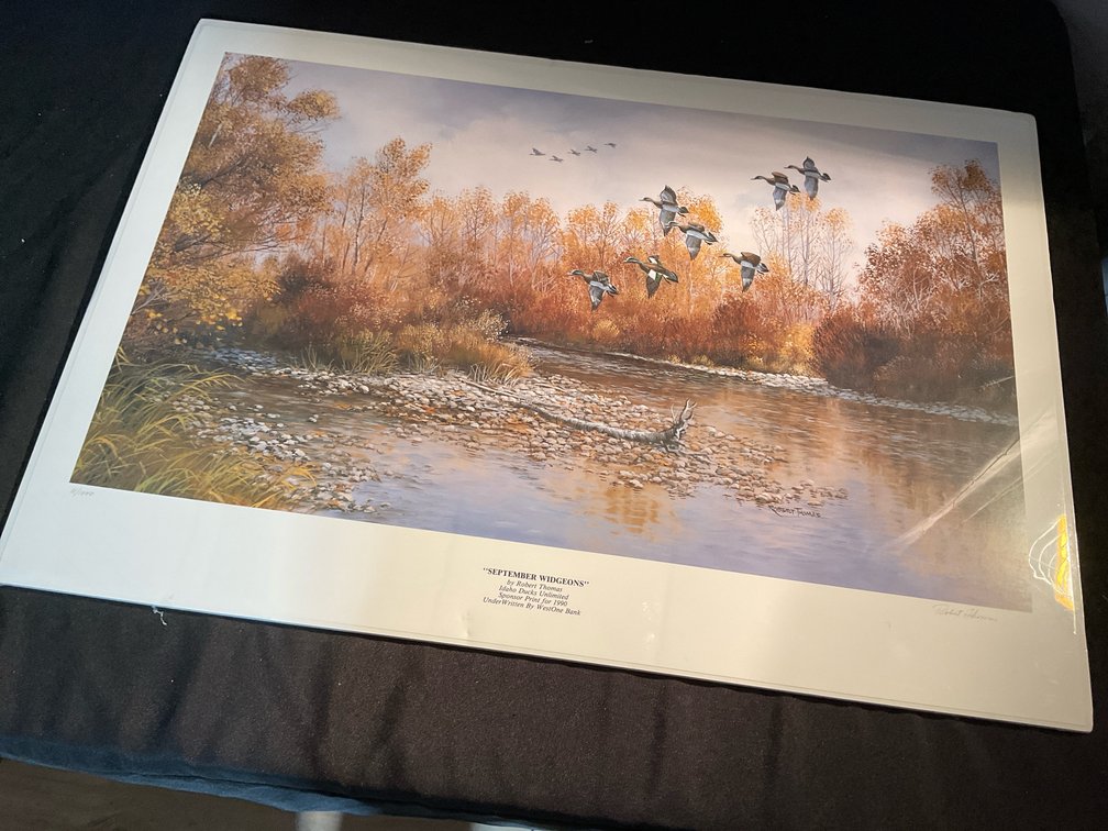 1990 September Widgeons Ducks Unlimited Print