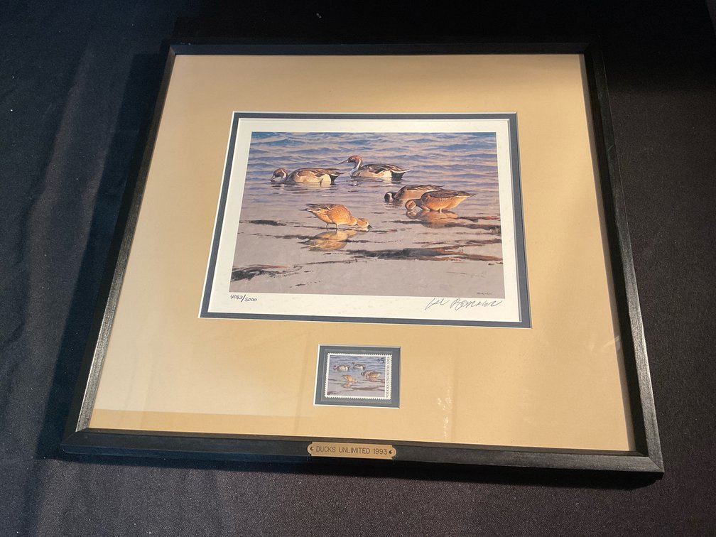1993 Framed Ducks Unlimited Print & 5 Cent Stamp