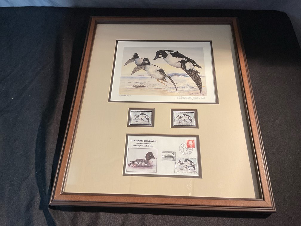 1995 Framed Ducks Unlimited Print & Danish Stamps