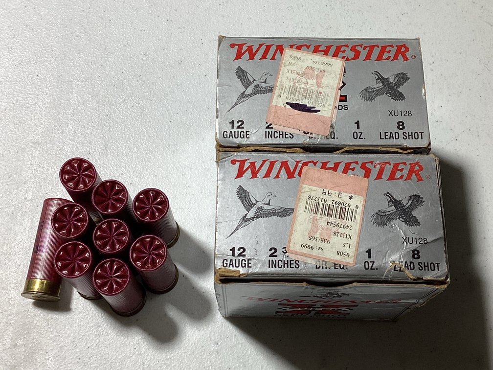 Assorted 12 Gauge Shotgun Shells