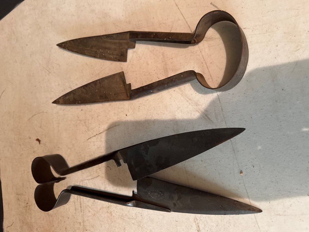 Antique Sheep Sheers