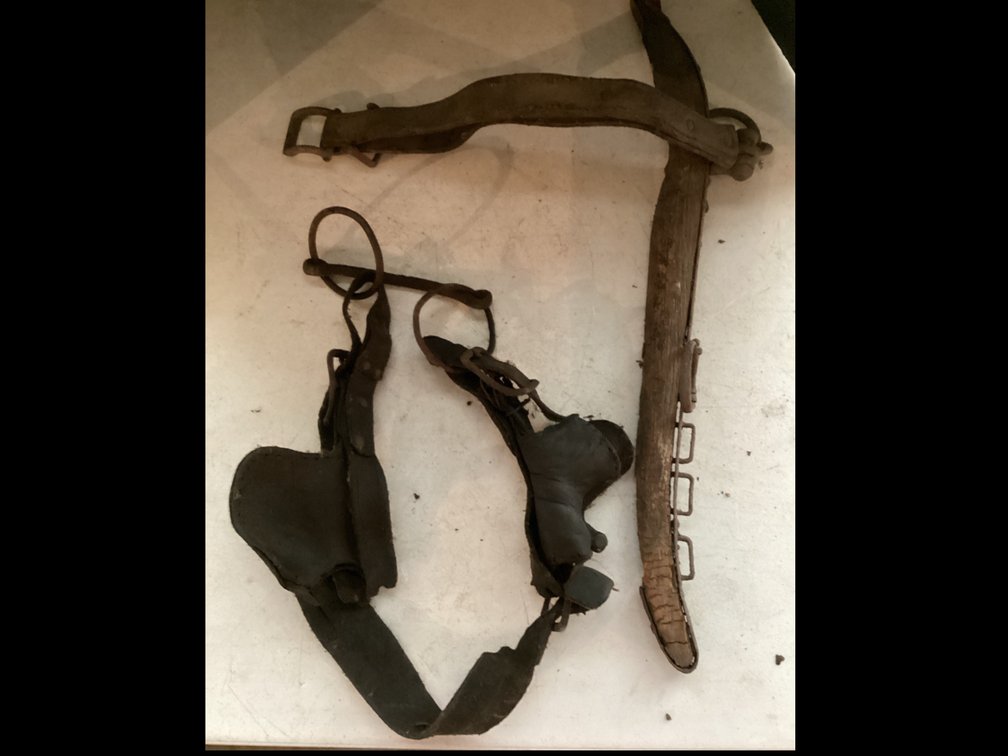 Horse Hame & Blinders With Bit