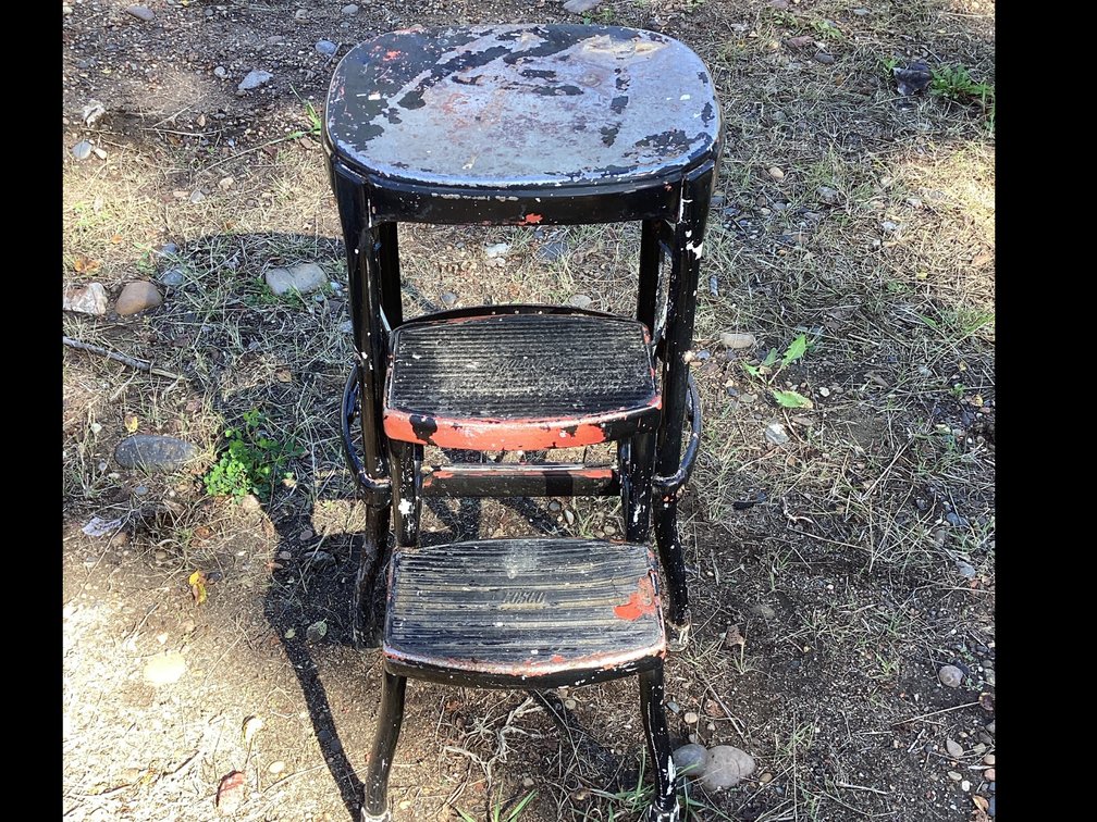 Cosco Step Stool