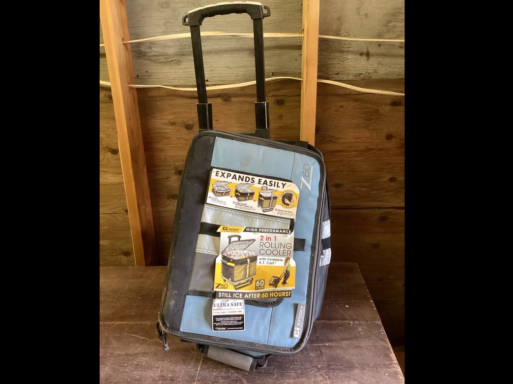 Ci Sport Rolling Cooler 2 In 1
