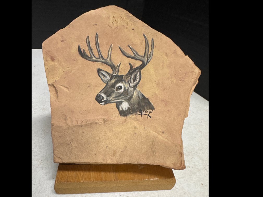 Annie Feist Hand Painted Stone Artwork