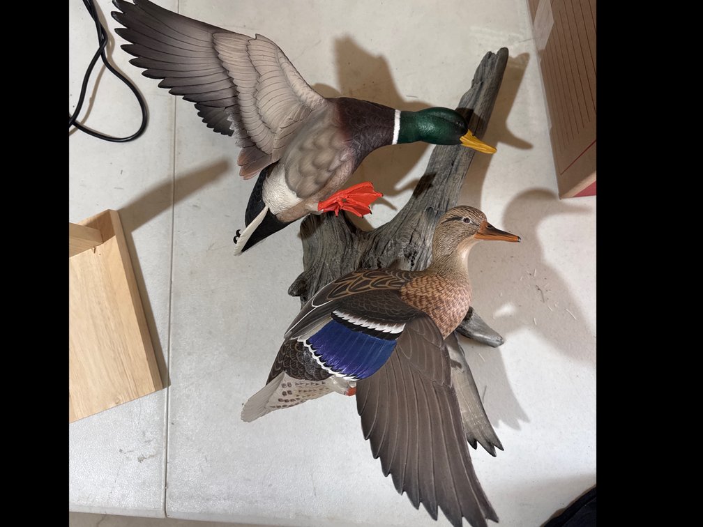 Resin Ducks Sculpted Wall Mount