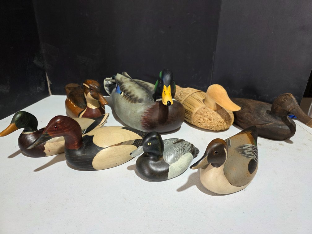 Ducks