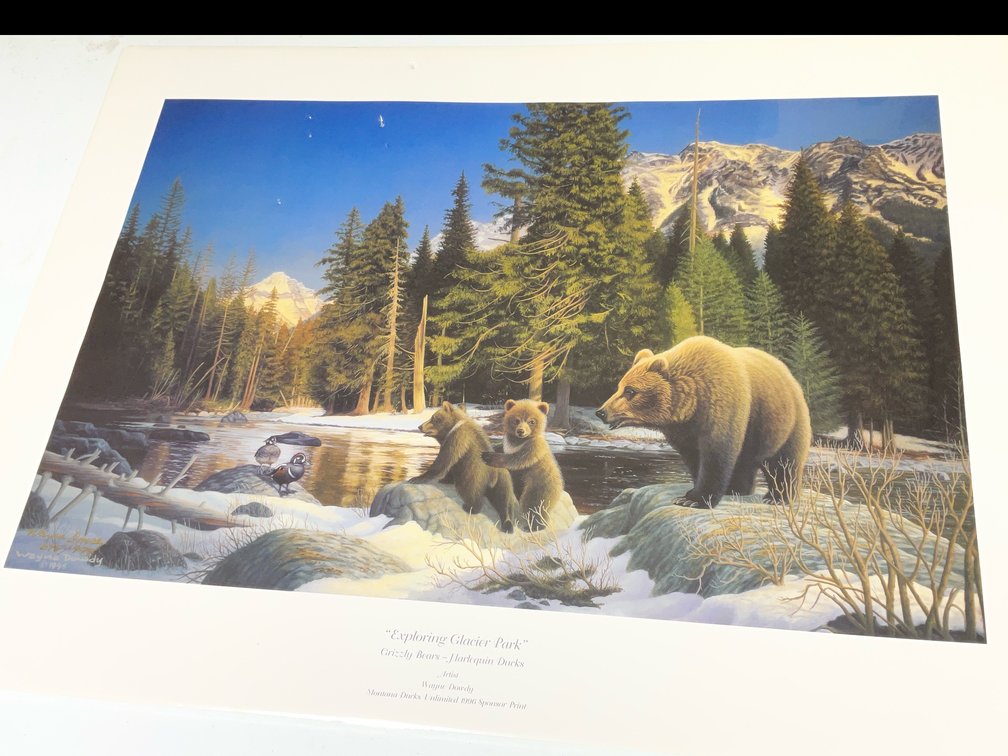 1996 Exploring Glacier Park Ducks Unlimited Print