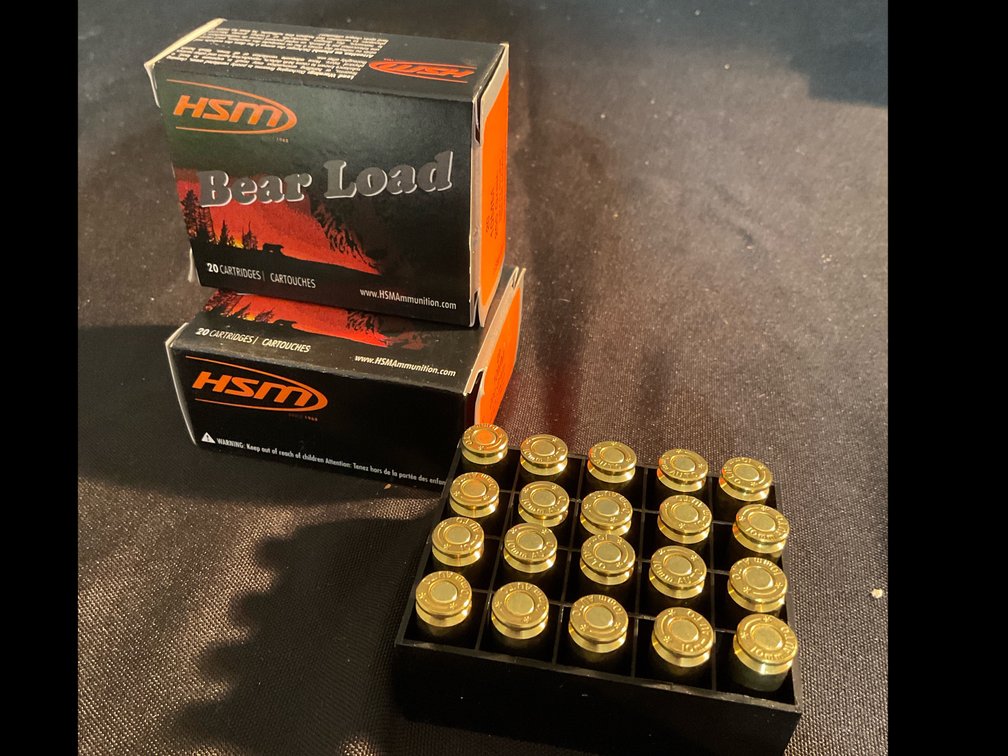 HSM Bear Load 10mm 200gr RNFP Ammo (40)