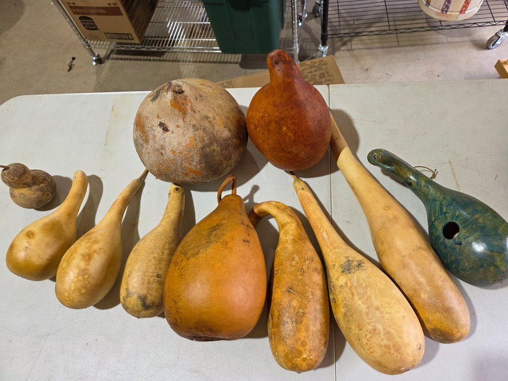 Gourds