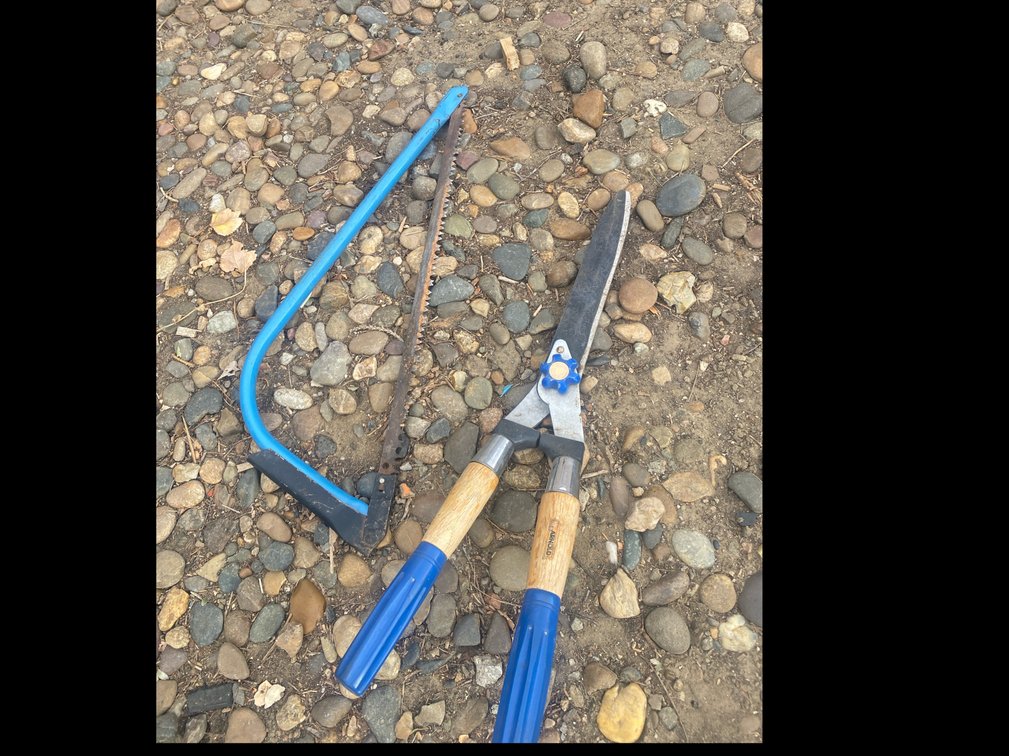 Buck Saw & Long Handle Clippers