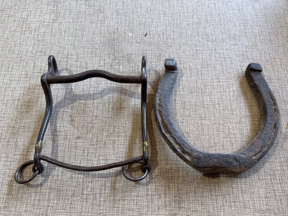 Horse Curb Bit and Horse Shoe