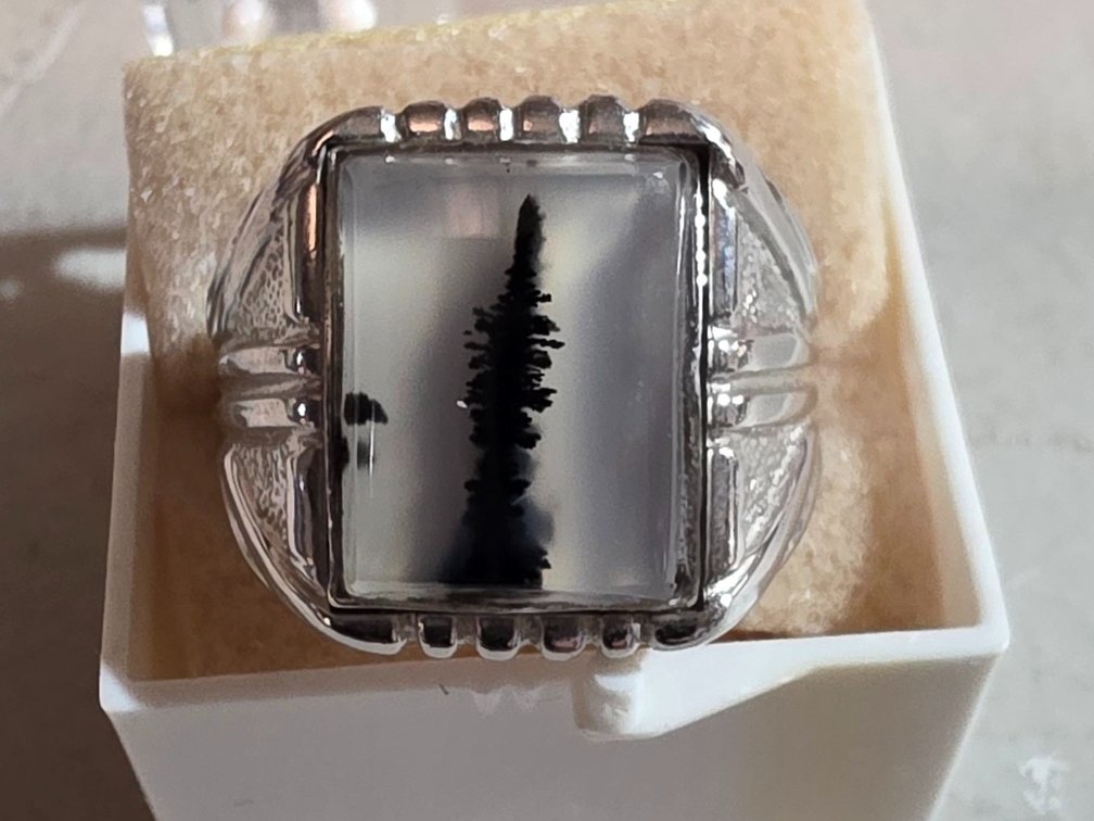 Man's Montana Agate/Sterling Ring