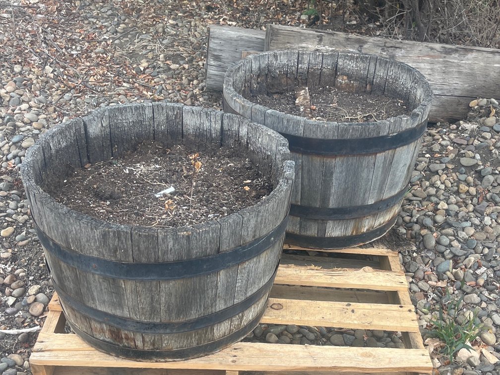 Whiskey Barrel Planters
