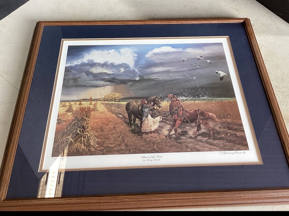 Framed Print “Ahead Of The Storm” by Shirley Arrants  - Signed & Numbered