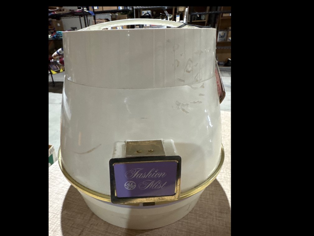 Fashion Mist Hood Hair Dryer