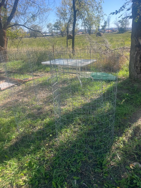 Woven wire tree protectors