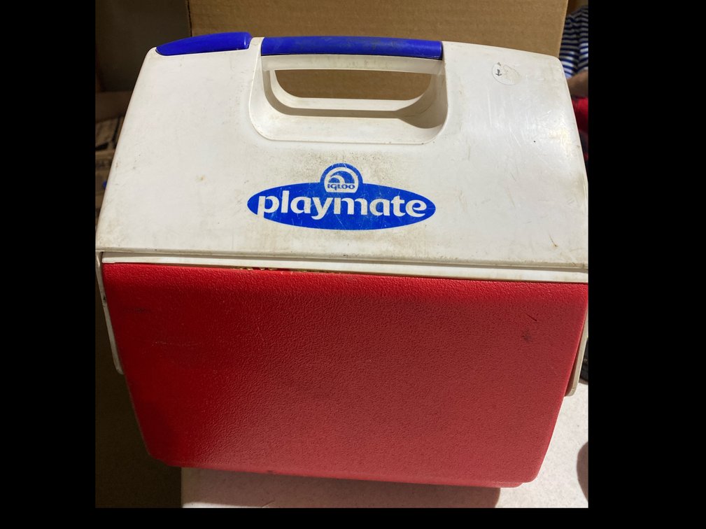 Igloo Playmate Cooler
