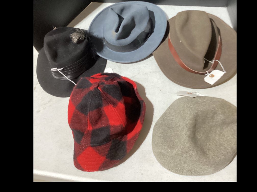 Assorted Hats