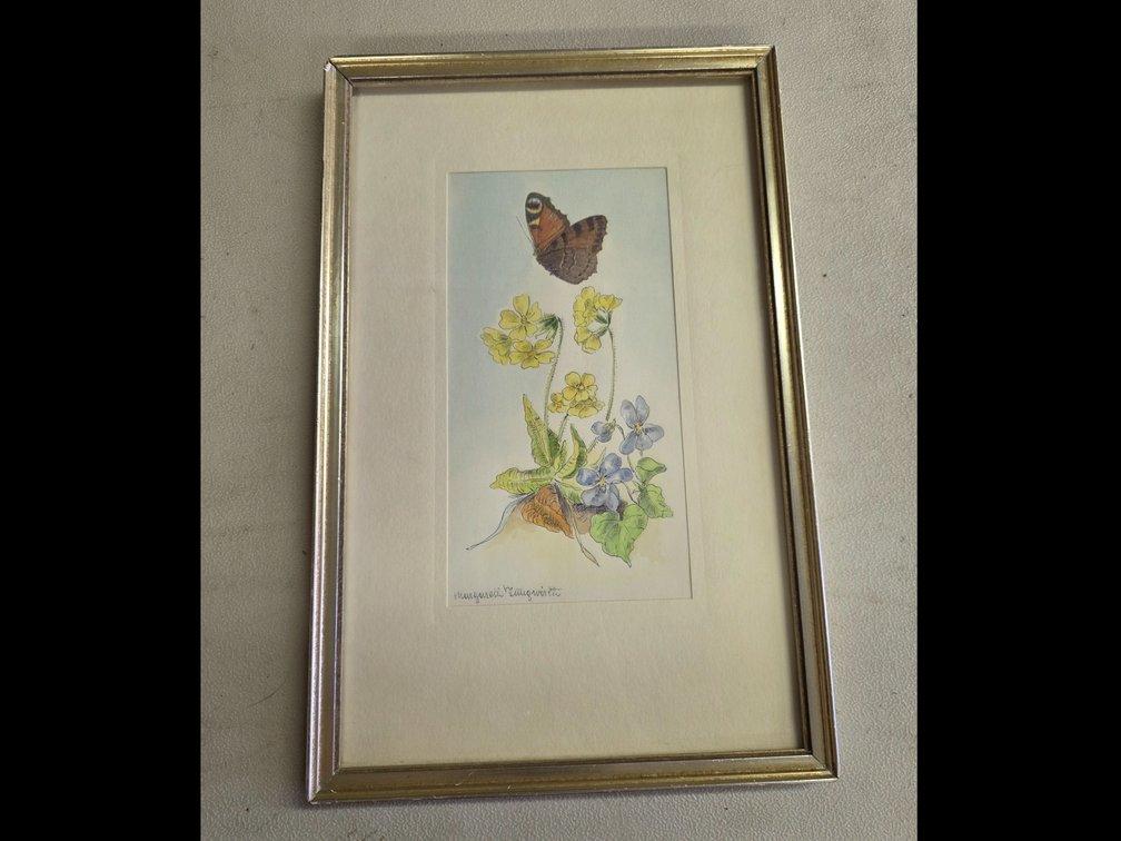 Water Color/Pencil Butterfly and Flower Picture