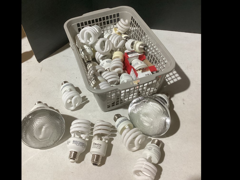 Assorted Light Bulbs
