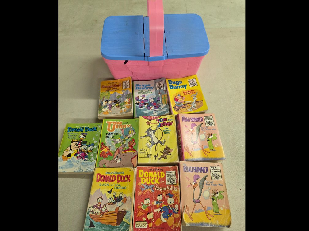 Flip It Cartoon Books