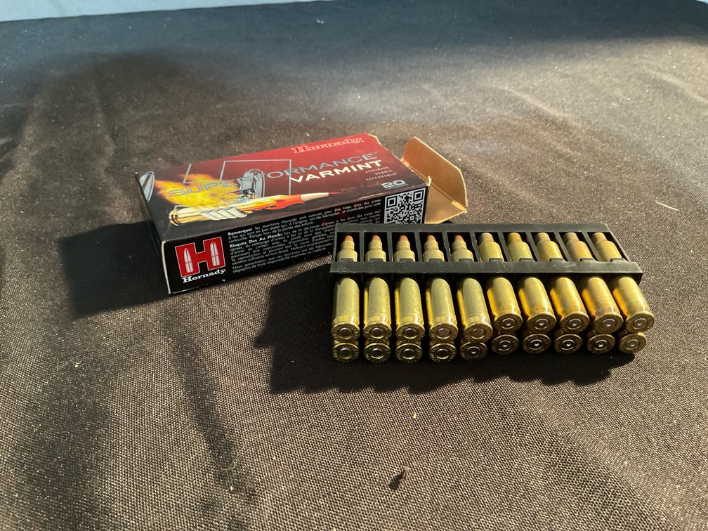 Hornady 204 RUGER 32gr V-Max Ammo & Brass Casings