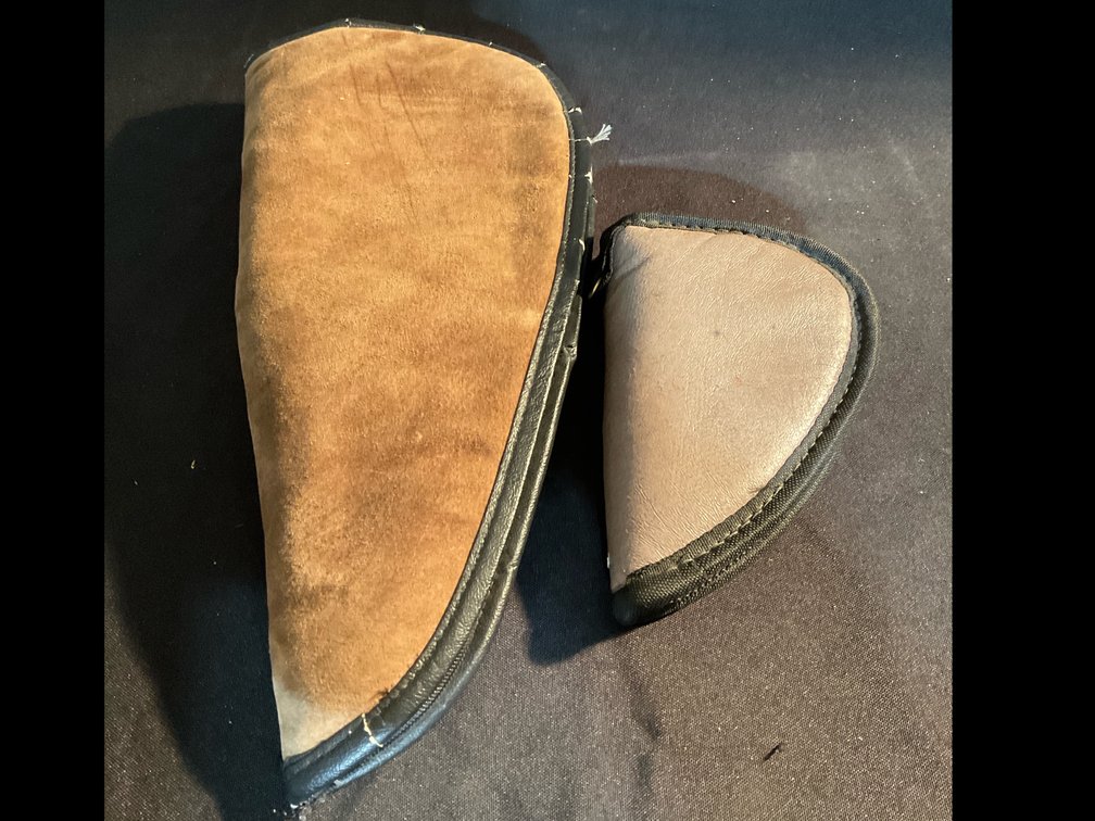 Pistol Cases (2)