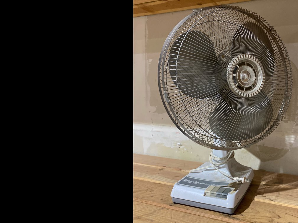 Windmere Oscillating 16” Fan