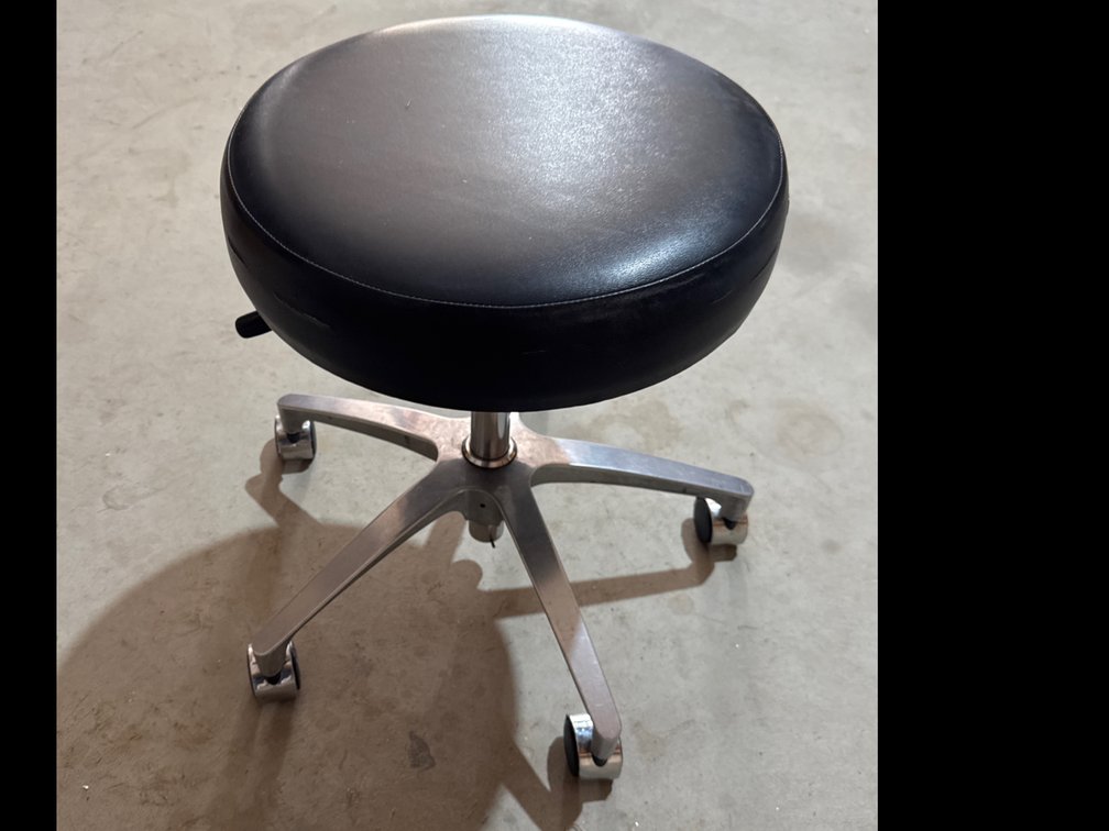 Padded Rolling Stool