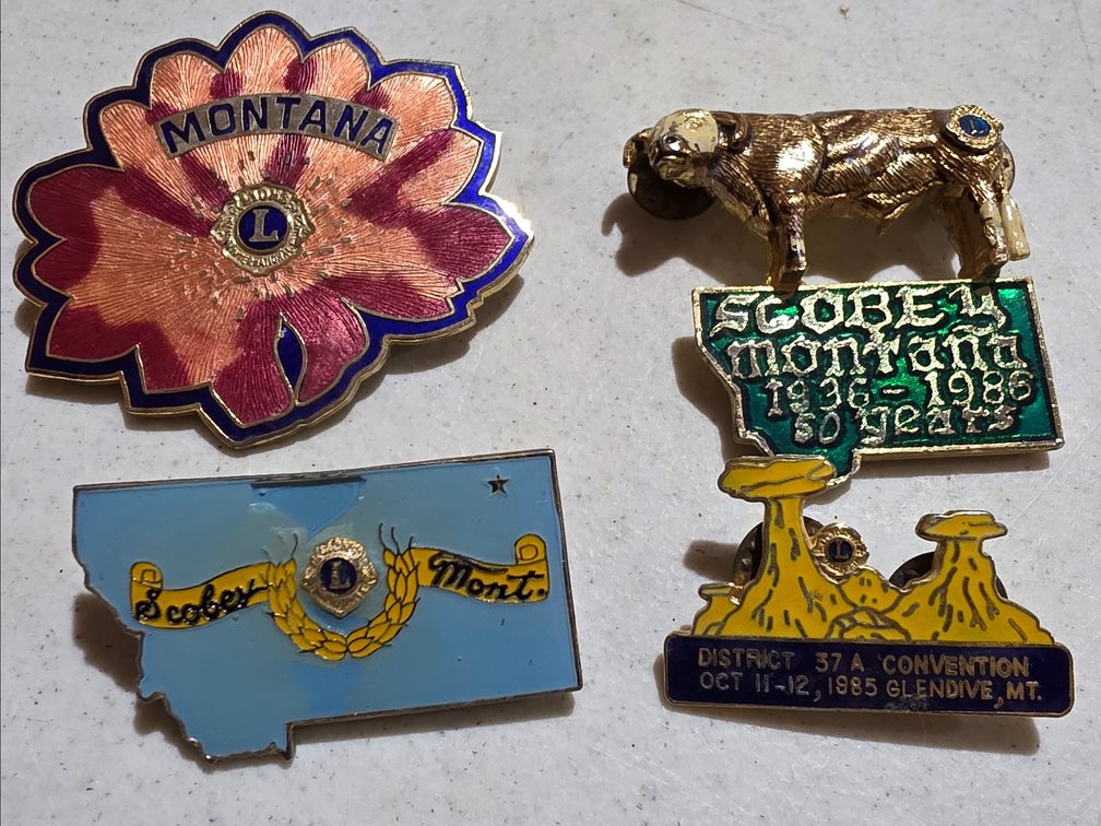 Lions Club Pins