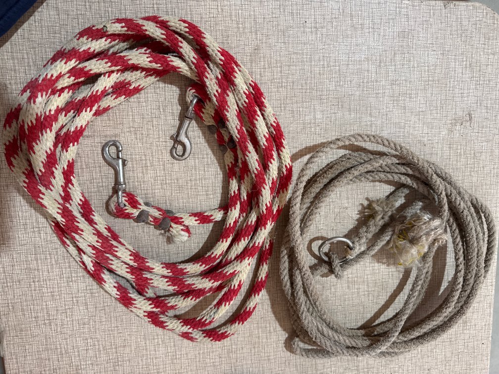 Horse Leads