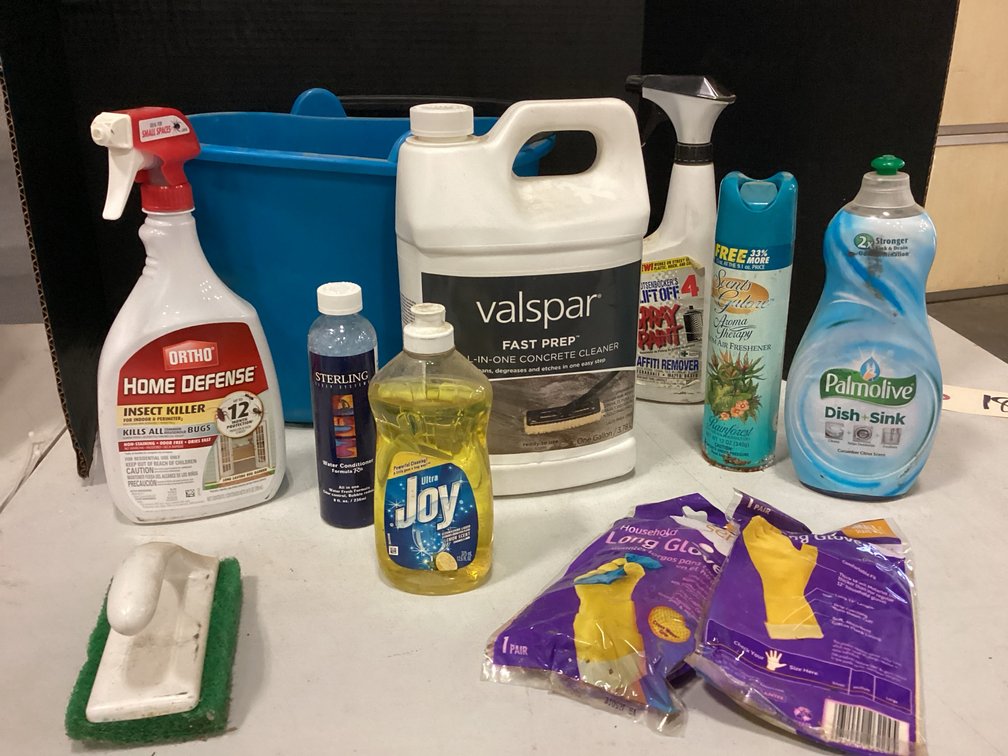 Assorted Cleaning Supplies in Cleaning Bucket