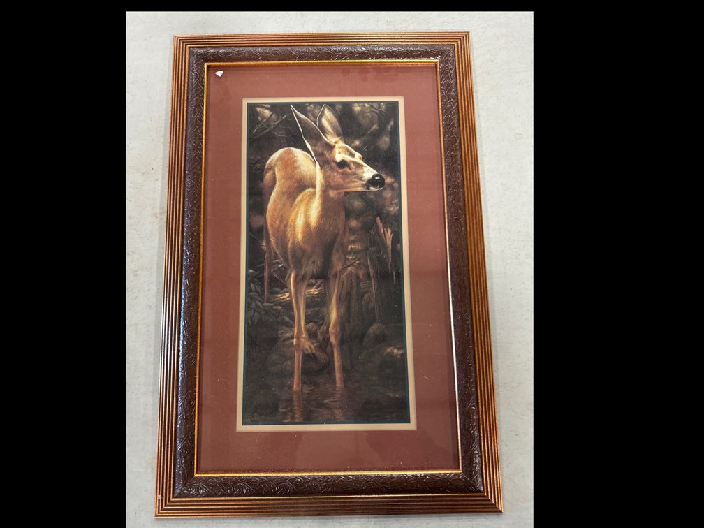 Home Interiors Wildlife Picture