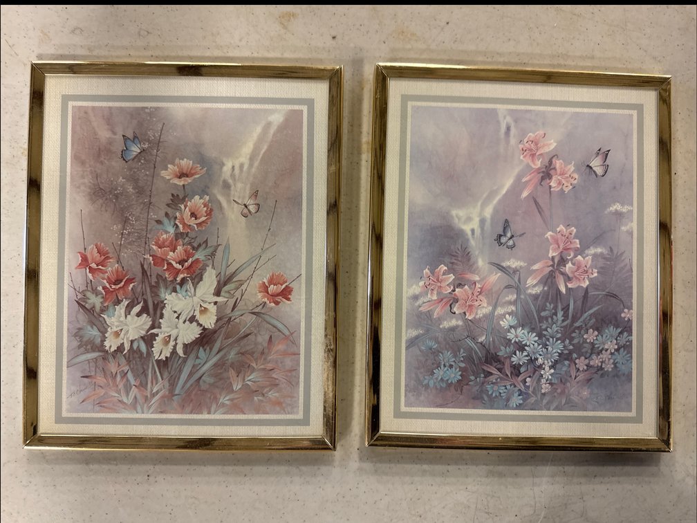 Butterfly and Floral Pictures
