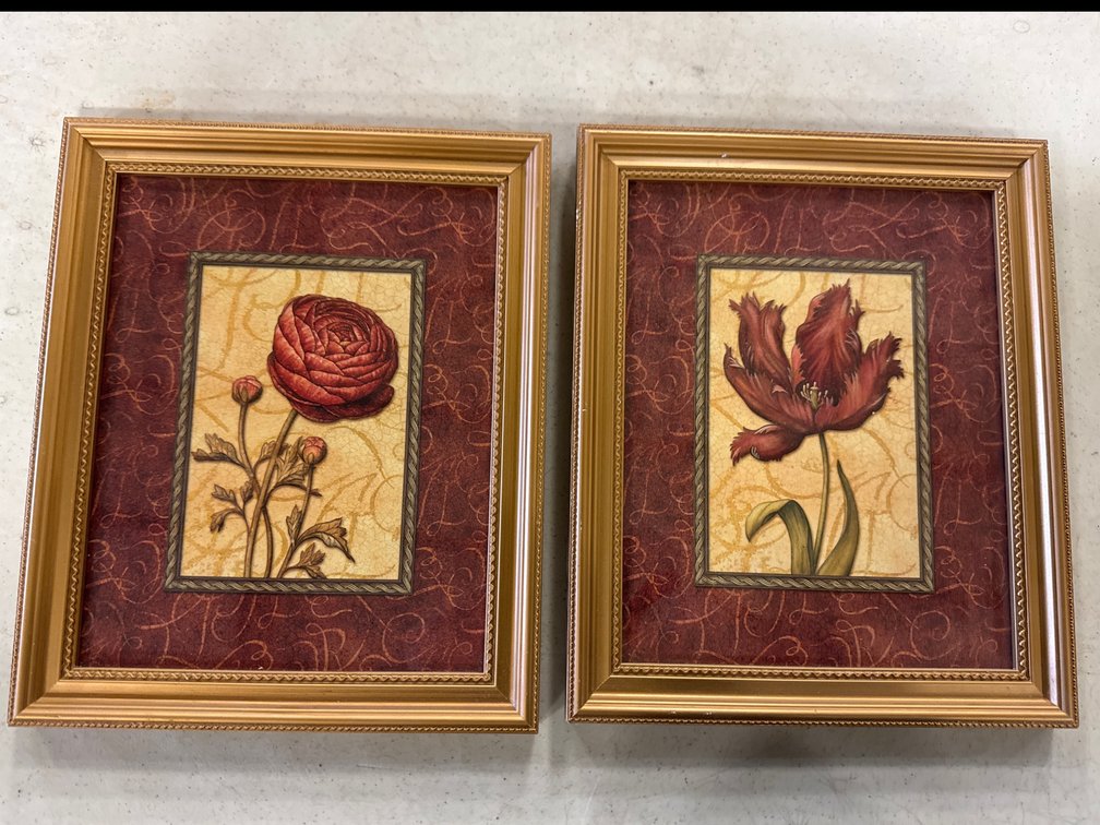 “Red Passion” Rose and Tulip Floral Pictures