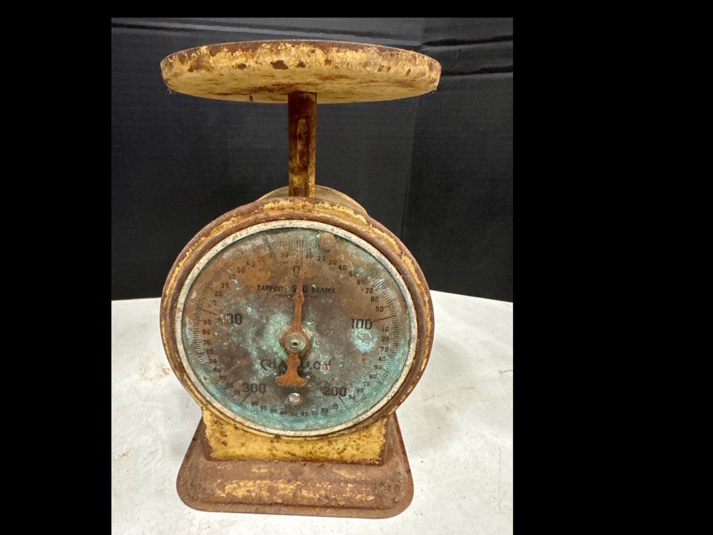 Chatillon Scale