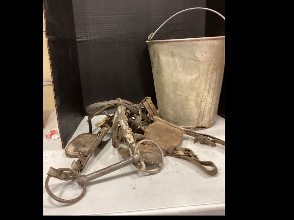Metal Bucket & Bridle with Blinders and Snaffle Bit