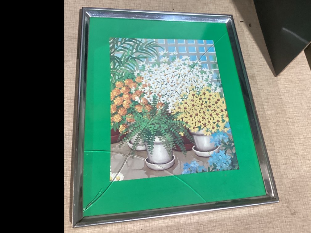 Flower Print - Broken Glass in Frame